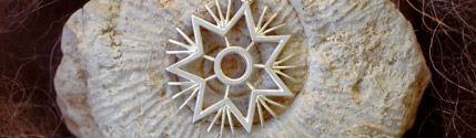 Kallisophisches Symbol